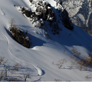 ONEDAY BC TOUR